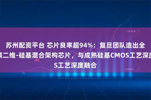 苏州配资平台 芯片良率超94%：复旦团队造出全球首颗二维-硅基混合架构芯片，与成熟硅基CMOS工艺深度融合