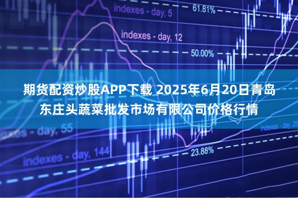 期货配资炒股APP下载 2025年6月20日青岛东庄头蔬菜批发市场有限公司价格行情