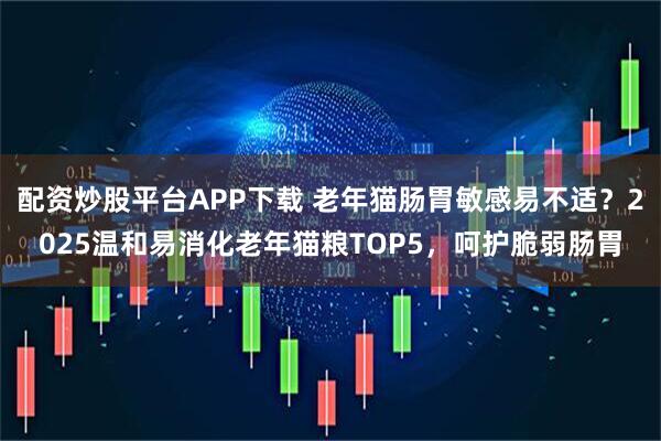 配资炒股平台APP下载 老年猫肠胃敏感易不适？2025温和易消化老年猫粮TOP5，呵护脆弱肠胃