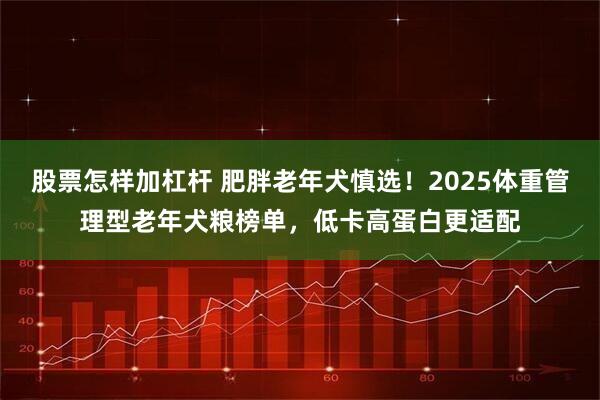 股票怎样加杠杆 肥胖老年犬慎选！2025体重管理型老年犬粮榜单，低卡高蛋白更适配