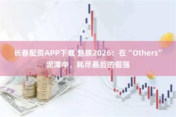 长春配资APP下载 魅族2026：在“Others”泥潭中，耗尽最后的倔强